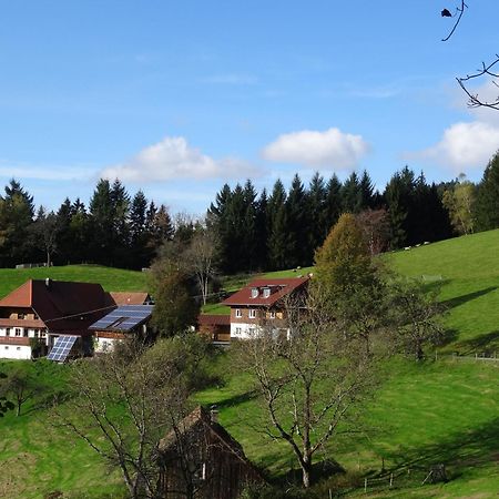 Ferienwohnung Berghansenhof Wolfach Exterior foto