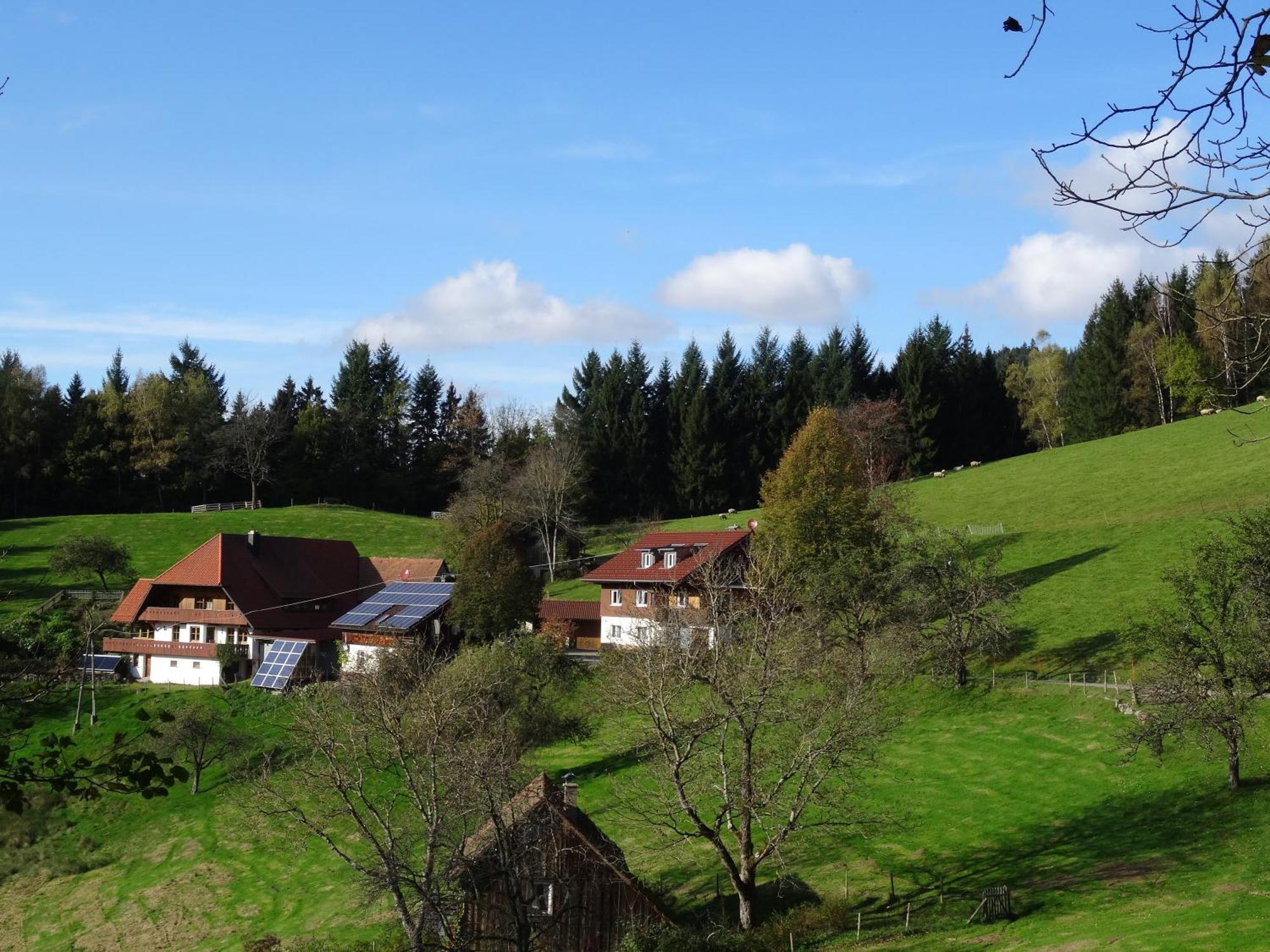 Ferienwohnung Berghansenhof Wolfach Exterior foto